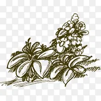 �ֻ�Ұ��-������