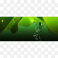 ��Ӱ��ɫ�Ĳݱ�ֲ��ϳ�-������