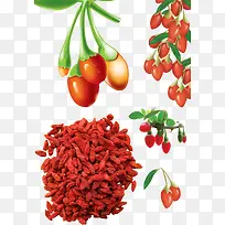 枸杞-空若网 枸杞-空若网