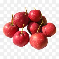 山楂-空若网 山楂-空若网