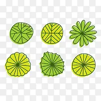 平面树-空若网 平面树-空若网