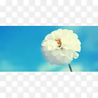 背景图-空若网 背景图-空若网