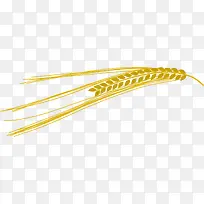 金色稻穗-空若网 金色稻穗-空若网