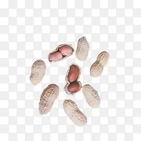 花生-空若网 花生-空若网