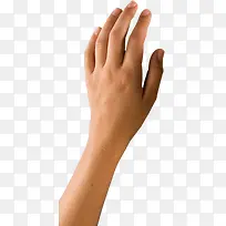 高清摄影实物拍摄手-空若网 高清摄影实物拍摄手-空若网