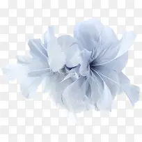 白色花实物拍摄-空若网 白色花实物拍摄-空若网