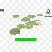 ��Ҷpng�ز�-������