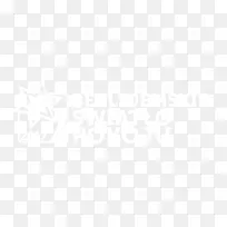 华盛顿特区食品公司。沿海普通煎蛋酒店-不错-空若网 华盛顿特区食品公司。沿海普通煎蛋酒店-不错-空若网