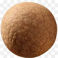 桂圆-空若网 桂圆-空若网