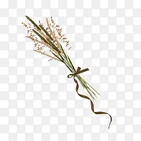 Ò»ÊøÂ̲ÝÂÌɫֲÎï-¿ÕÈôÍø Ò»ÊøÂ̲ÝÂÌɫֲÎï-¿ÕÈôÍø