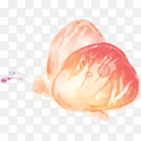 橙色唯美蝴蝶-空若网 橙色唯美蝴蝶-空若网