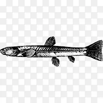 ����廭-������