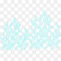 海草-空若网 海草-空若网