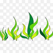 海草-空若网 海草-空若网