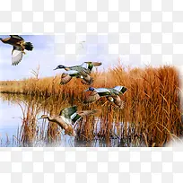 ������Ӱ�羰��«έ��-������