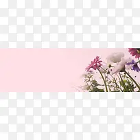 ����ʱ�б���-������