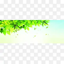 ����ʱ�б���-������