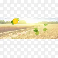 ����ʱ�б���-������