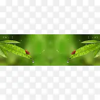 ����ʱ�б���ͼ-������