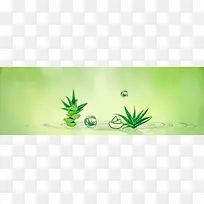 ����ʱ�б���-������