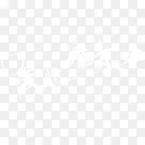 ���⾫Ʒ��ƴ���װ��-������