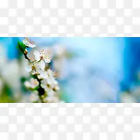 精品背景-空若网 精品背景-空若网