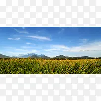 精品背景-空若网 精品背景-空若网