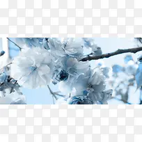 ��Ʒ����-������