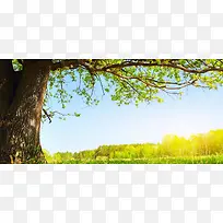 精品背景-空若网 精品背景-空若网