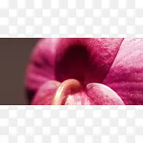 精品背景-空若网 精品背景-空若网