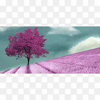 精品背景-空若网 精品背景-空若网