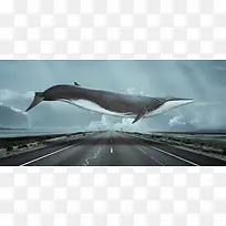 ��Ʒ����-������