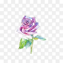 花卉手绘-空若网 花卉手绘-空若网