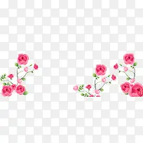 手绘玫瑰-空若网 手绘玫瑰-空若网