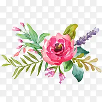 手绘玫瑰-空若网 手绘玫瑰-空若网