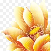 合成创意质感橙色的荷花-空若网 合成创意质感橙色的荷花-空若网