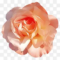 橙色的花朵高清创意合成-空若网 橙色的花朵高清创意合成-空若网