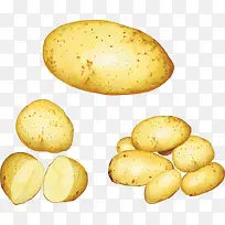 矢量土豆素材-空若网 矢量土豆素材-空若网