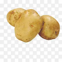 土豆-空若网 土豆-空若网