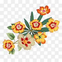 �ƻ�  �ֻ滨-������