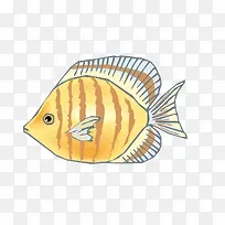 矢量金黄观赏鱼素材-空若网 矢量金黄观赏鱼素材-空若网