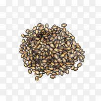 摄影 高清 瓜子-空若网 摄影 高清 瓜子-空若网