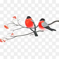 ��֦�ϵ�С��-������