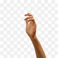 手掌手指-空若网 手掌手指-空若网