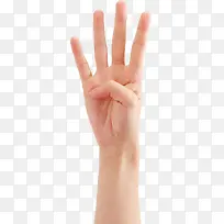 �����ĸ���ָ����-������