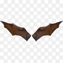 蝙蝠翅膀素材-空若网 蝙蝠翅膀素材-空若网