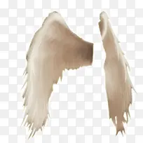 ���ͼƬ�ز�-������