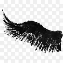 ���ī��png�ز�-������