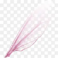 蜻蜓翅膀png素材-空若网 蜻蜓翅膀png素材-空若网