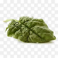 绿色蔬菜叶-空若网 绿色蔬菜叶-空若网